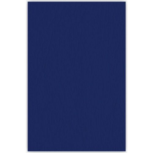 Argo Karton kötéshez bőrszerű A4 ARGO DELTA 407065 kék 25 db 145660874