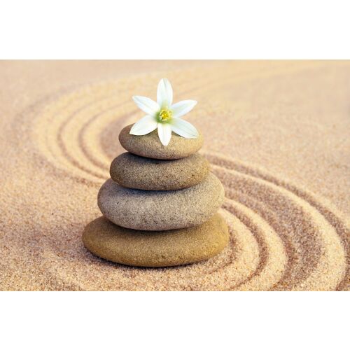 MÉDIA Sand & Stone vászonkép, zen kövek és virág fali dekoráció, nyugtató spa dekor 