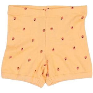 Lupilu Fata Bluză de pijama (Mărime: 92) 145674263 - Lupilu