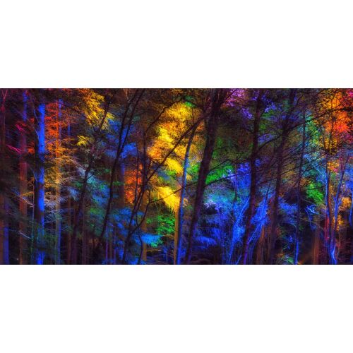 Szivárvány az erdőben vászonkép, 105x70 cm, színes fali dekoráció 