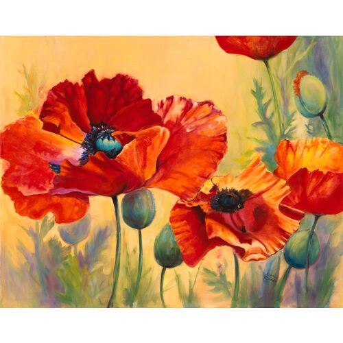 MÉDIA Maci vászonkép piros mákkal, 90x60 cm, virágos falikép - Falikép