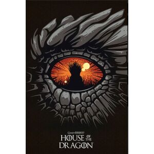 House of the Dragon Poster 91,5 x 61 cm 145844801 - Plagáty