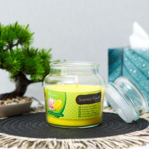 Vog und Arths 58805D Illatgyertya - csupor fedővel - édes citrom &amp; bazsarózsa - 310 g 145930198 - Légfrissítő