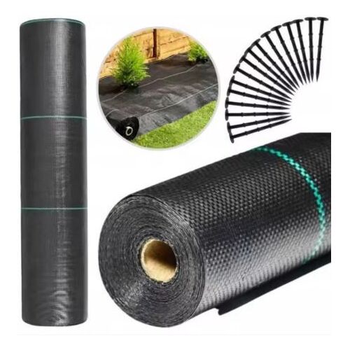 Alapértelmezett név 145939765