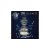 Ravensburger Iconics 3D puzzle Colosseum Night Edition robbantott ábra