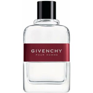 GIVENCHY Pour Homme EDT spray 100ml