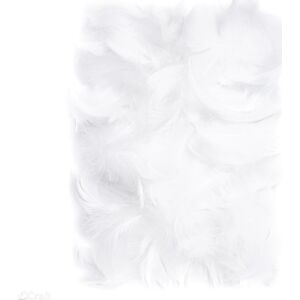 Pene 5-12cm 10g alb 146124131 - Decorațiuni de Paște