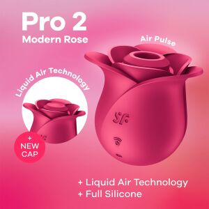 Pro 2 Modern Rose
