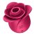 Pro 2 Modern Rose 146126604