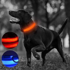 LED-es nyakörv, M-es méret, 3 világítási mód, kék