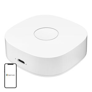 Intelligens otthon WS2GW-R WiFi 146152844 - Okos eszköz
