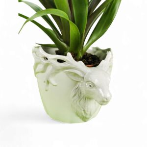 White Majesty – Fehér Szarvasfejes Kaspó (15x15x17 cm) 146156508 - Kertépítés