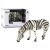 Nagy gyűjtői figura Zebra A világ állatai – 12288 146215133