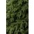 Umelý vianočný stromček Deluxe od Sersimo, Lapland Select, plne 3D, 230 cm 146232771