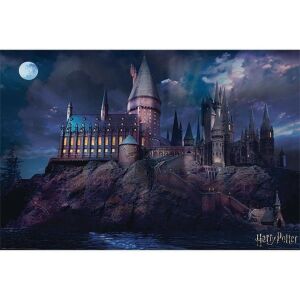 Harry Potter (Hogwarts) maxi poszter 146240449 - Poszter