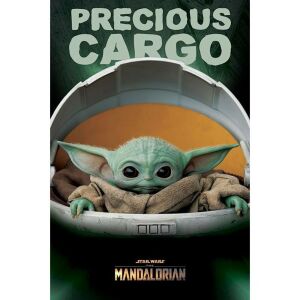 Star Wars: The Mandalorian (Precious Cargo) maxi poszter 146241818 - Pyramid