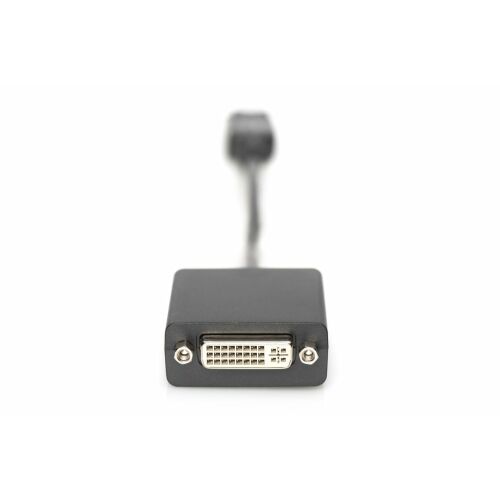 DIGITUS DisplayPortKabel DPort -> DVI(24+5) St/Bu 0.15m 1.1a 146330234