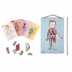 Janod Układanka Magnetyczna Ciało Człowieka J05491 146336218 - Jocuri stiintifice si exploratori
