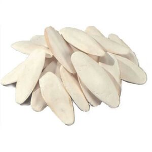 Panzi szépiacsont - kiegészítő eleség díszmadarak részére (1kg) 146356819 - Madáreleség