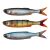 Sg Craft DYING MINNOW csali 5,5cm 0,7G PERCH |SVS71934 146406406