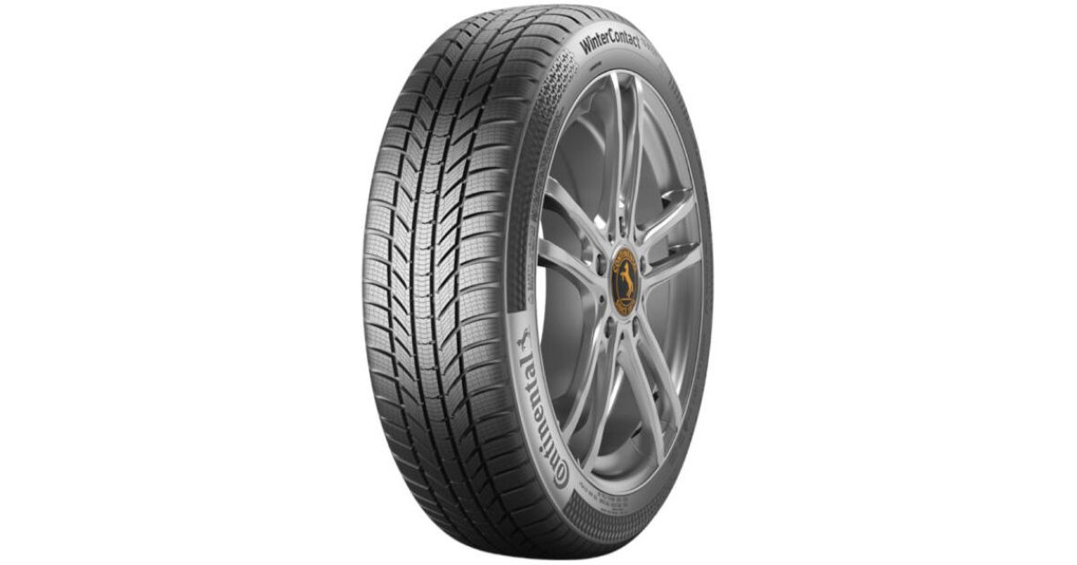 continental winter contact ts 870 p