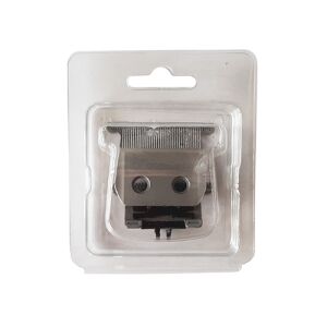 AD 2836.1 Fém penge AD 2836 Silver és AD 2836 Gold korongokhoz