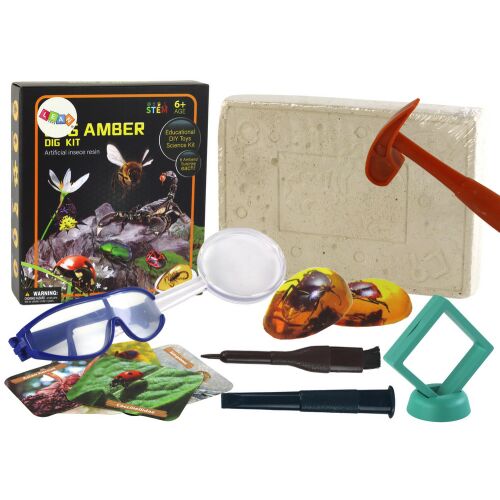 Régészeti ásatási készlet rovarok borostyánban 146473593