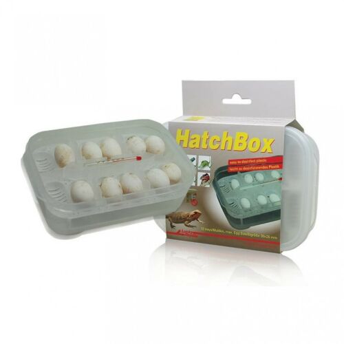 Lucky Reptile|Hatchbox Incubation Tray- keltető doboz 146519422