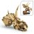 LEGO Fosile de dinozaur craniu de Triceratops 146562237