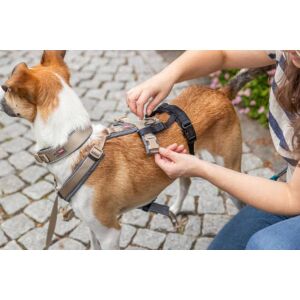 Trixie Stay Panic-adaptor for harnesses, (szökésbiztos) hámhoz csatlakoztatható védelem - fekete  L–XL: 59–92 cm/25 mm 146610917 - Trixie