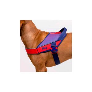 JK9 Street kutyahám sötét lila és neon málna, méret XL 146610926 - Állattartás