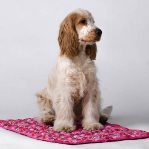 Aqua Coolkeeper hűtőpléd rózsaszín S (40x30cm) 146611952