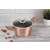 Berlinger Haus BH-7058 rose gold pot with lid, 2.5L