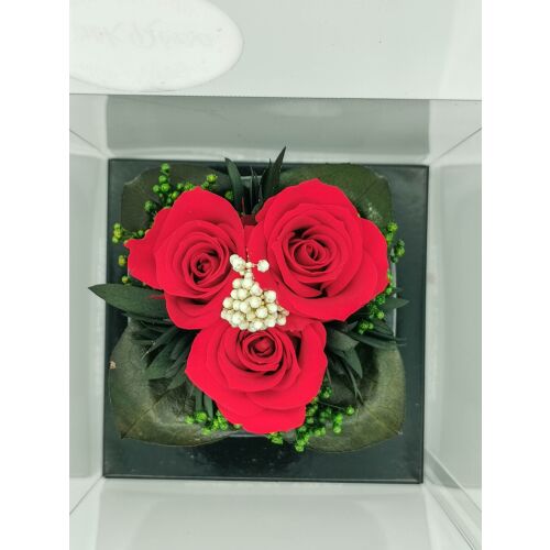 Örökrózsa 146717536