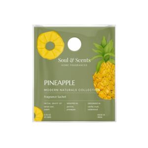 Saculet Parfumat Garderoba, Soul & Scents, Ananas 146719194 - Pernă de parfum