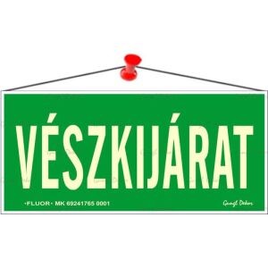 Információs tábla, 25x11,5 cm, fluoreszkáló, utánvilágítós, "Vészkijárat" 146721304 - Információs tábla