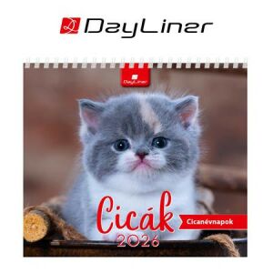 Naptár, asztali, álló, DAYLINER "Cicák" 146722499 - Irodaszer