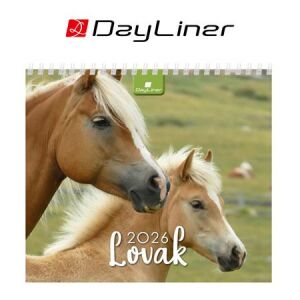 Naptár, asztali, álló, DAYLINER "Lovak" 146722744 - Irodaszer