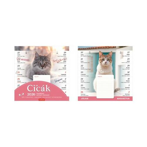 Naptár, fali, mágneses, kétheti, TOPTIMER, cicák 146722907