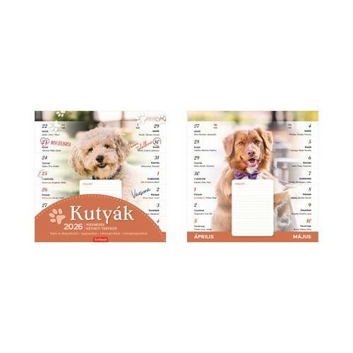 Naptár, fali, mágneses, kétheti, TOPTIMER, kutyák 146723258