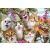 Macska szelfi, 500 db (58391) Katzen-Selfie Cat Selfie 146726418