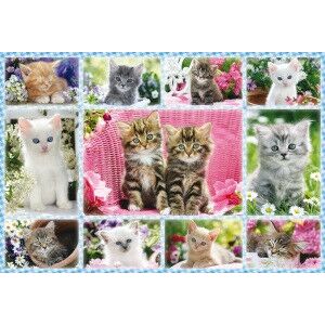 Kittens, 100 db (56135) Katzenbabys, 100 pcs 146726549 - Puzzle