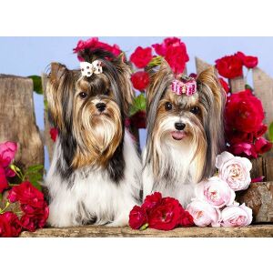 Gyémánt mozaik - Mások masnival