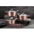Berlinger Haus BH-6151 10 piece dinnerware set, Metallic Line Rose Gold Edition 42911496