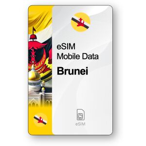 eSIM Internet Brunei, ważny 30 dni, transfer 20 GB 146893913 - Karta SIM