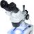 Binokuláris sztereó mikroszkóp alsó megvilágítással Mars S MSMS-B-PZPD1 146823151