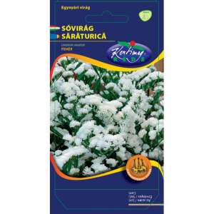 Seminte de Saraturica alb/ Limonium sinuatum 92520797 - Semințe de semanat
