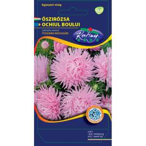 Callistephus chinensis / Ochiul boului / Strahlen / roz 42927893 - Semințe de semanat