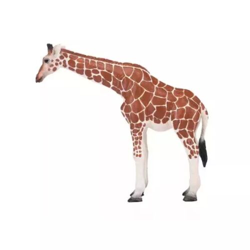 Mojo: Weibliche Giraffe - handbemalte Figur 146951246