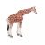 Mojo: Weibliche Giraffe - handbemalte Figur 146951246